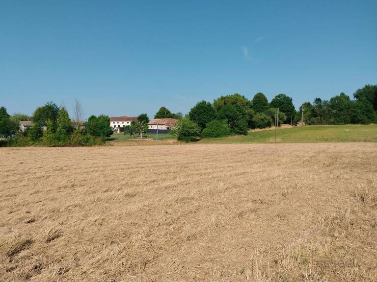 Terrain — photo 1