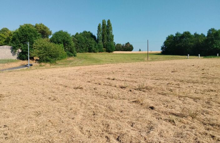 Terrain — photo 2