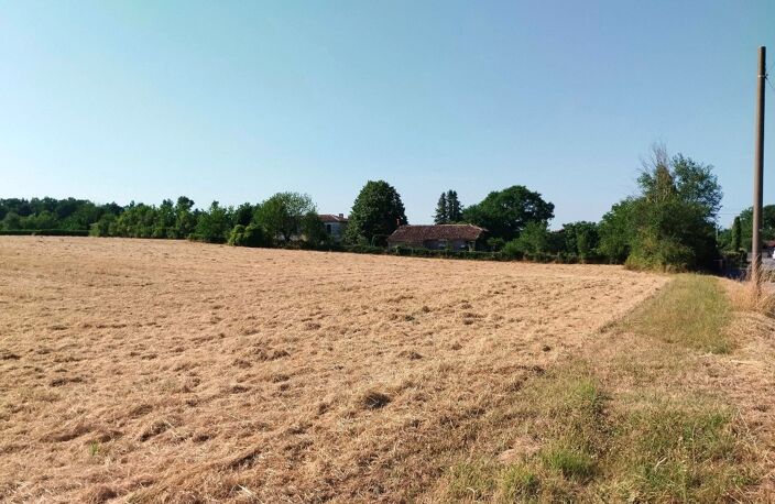 Terrain — photo 3