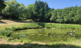Terrain  2393 m² à vendre à Sainte-Gemmes-le-Robert (53600)