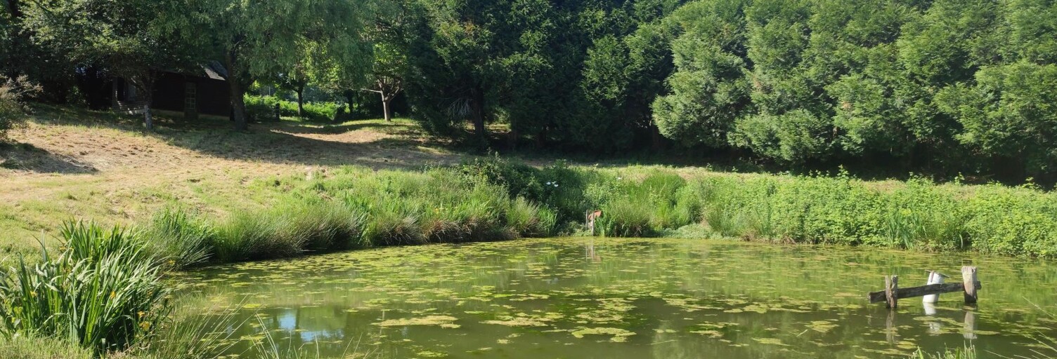 Terrain  2393 m² à vendre à Sainte-Gemmes-le-Robert (53600)