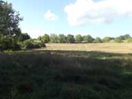Beau terrain à bâtir — photo 4