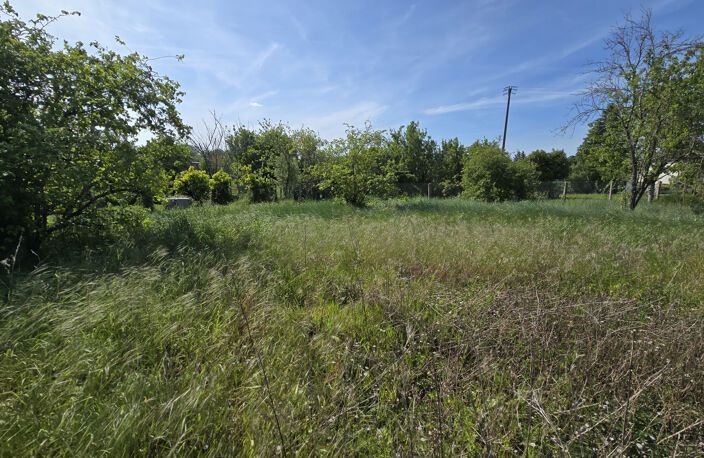 TAVERS — photo 4