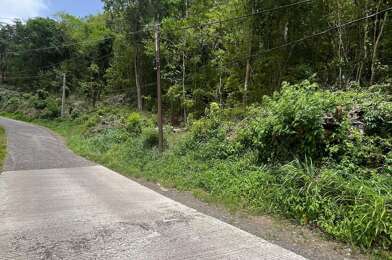 Terrain  135000 €