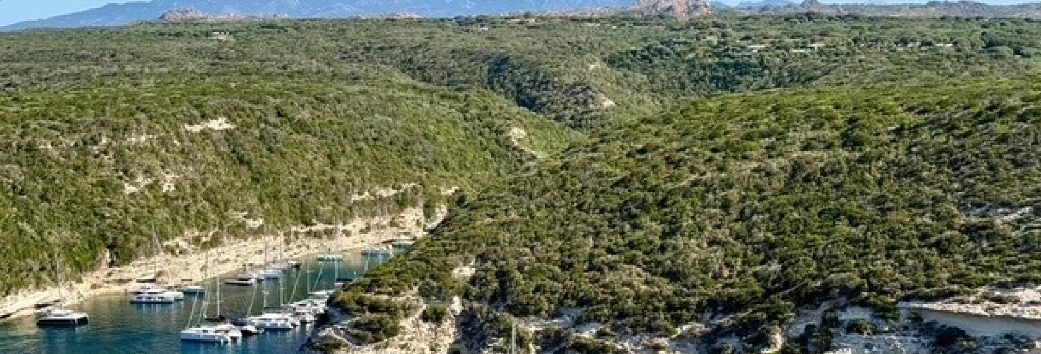 Appartement 5 Pièces 100 m² à vendre à Bonifacio / Bunifaziu (20169)