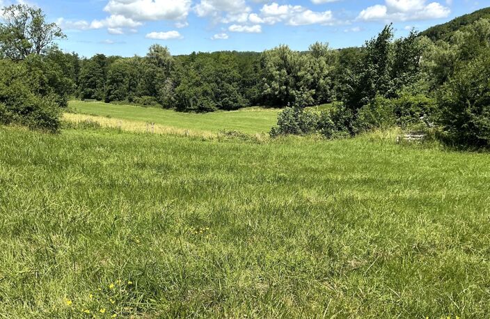 Domaine composé d'une maison d habitation , 3 appartements, dépendance sur 38690 M2 de terrain — photo 5