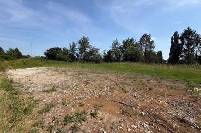Terrain  56000 €