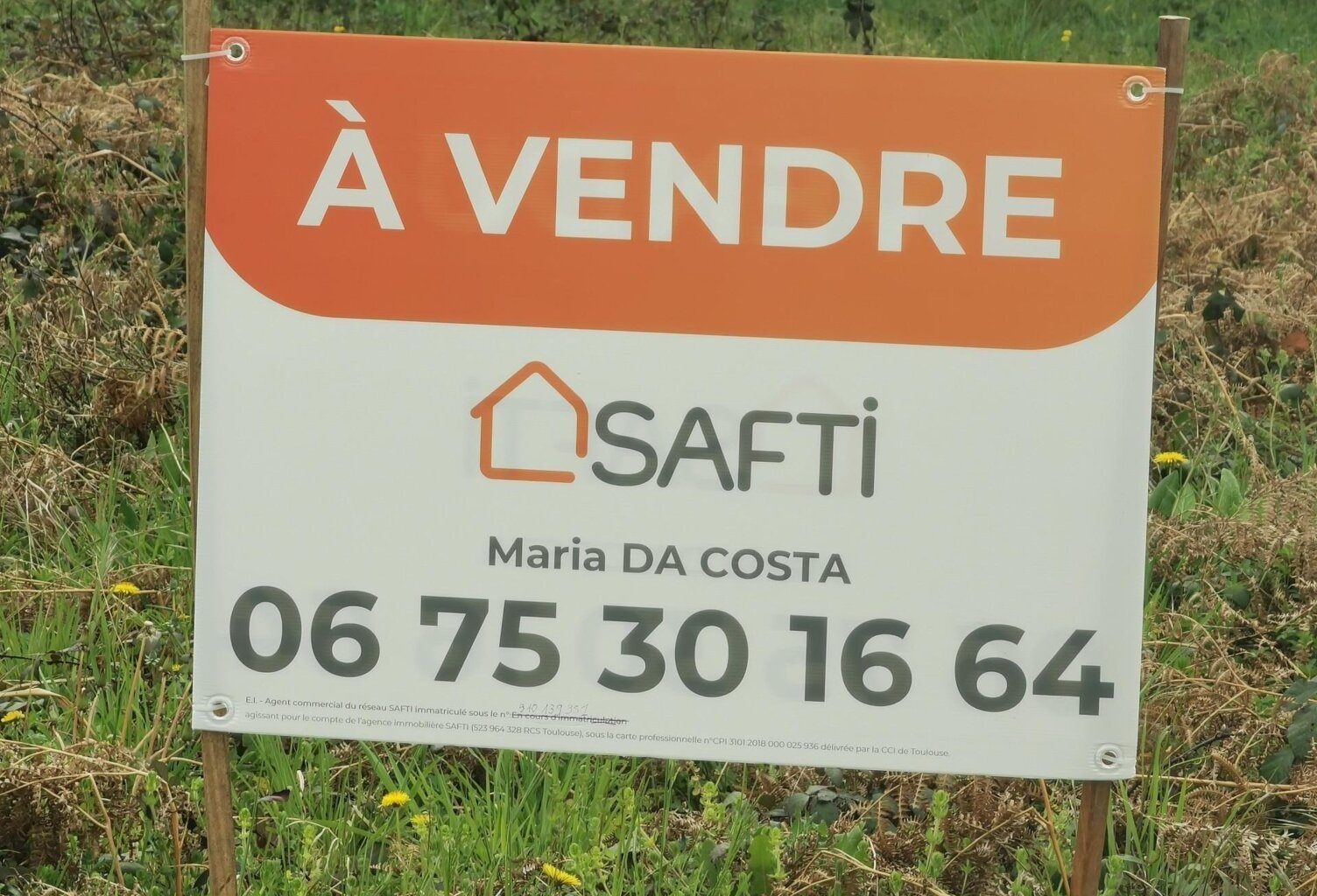 Vue dégagée et partielle sur les Pyrénées — photo 1