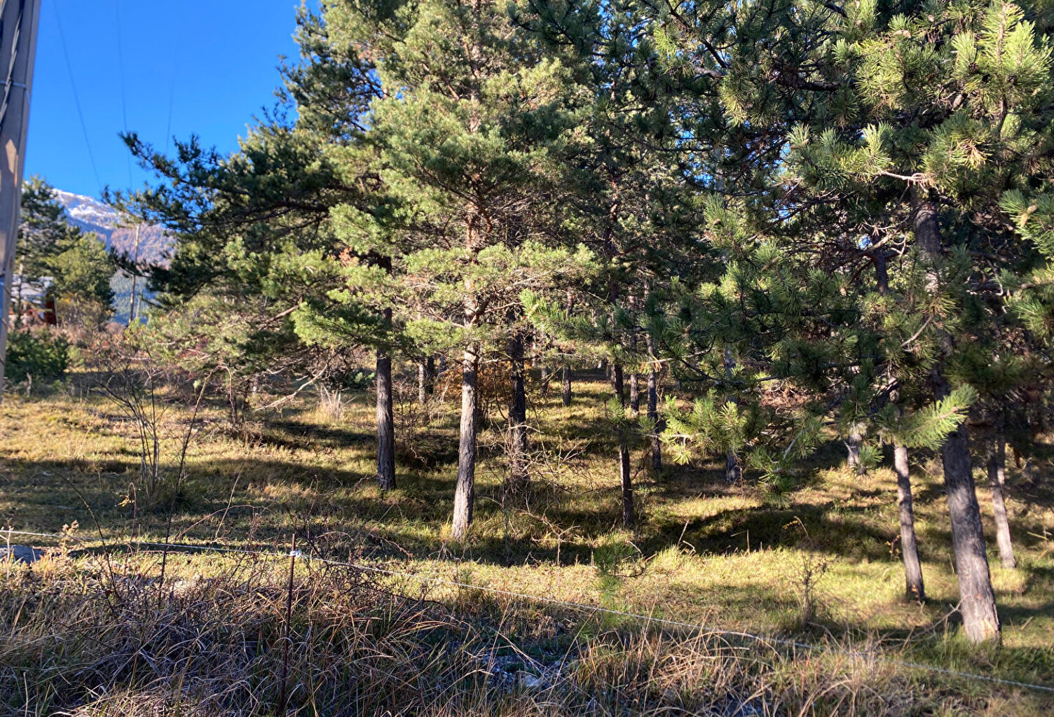 Terrain constructible à Embrun 2679 m² — photo 1