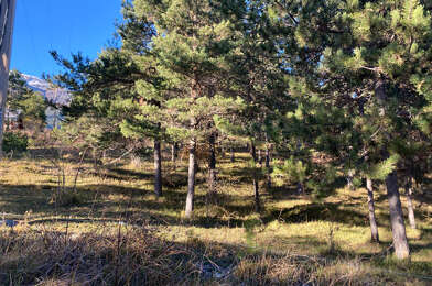Terrain  245000 €