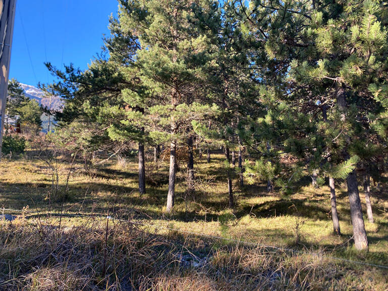 Terrain constructible à Embrun 2679 m² — photo 1