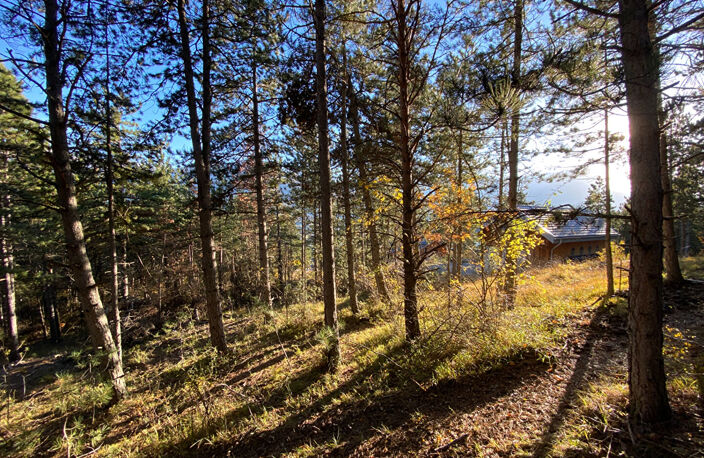 Terrain constructible à Embrun 2679 m² — photo 2