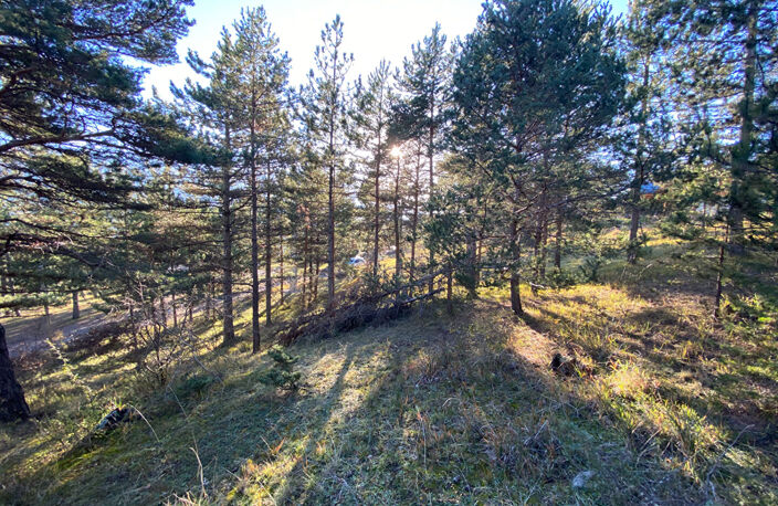 Terrain constructible à Embrun 2679 m² — photo 3