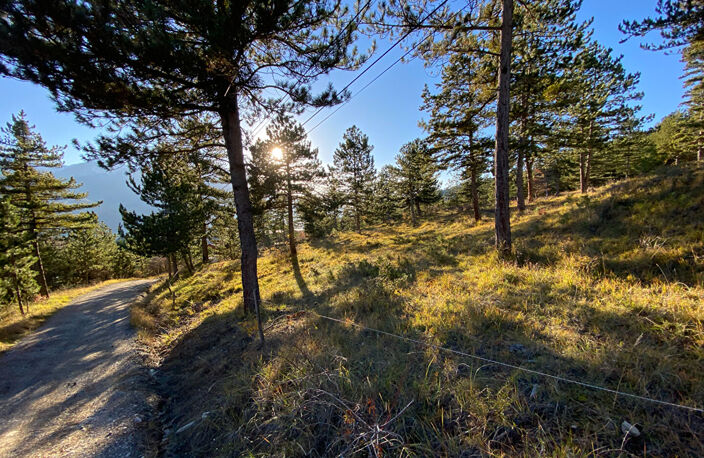 Terrain constructible à Embrun 2679 m² — photo 4