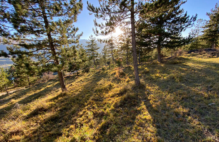 Terrain constructible à Embrun 2679 m² — photo 5