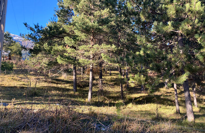 Terrain viabilisé  Embrun  1742m² — photo 4