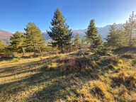 Terrain 1502 m² à Embrun — photo 4