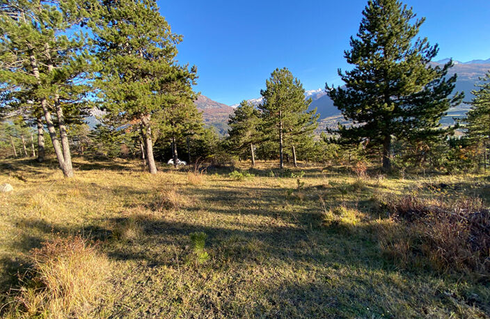 Terrain 1502 m² à Embrun — photo 5