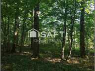 Propriété forestière avec étang  30,63 ha  Aux portes de Metz — photo 4