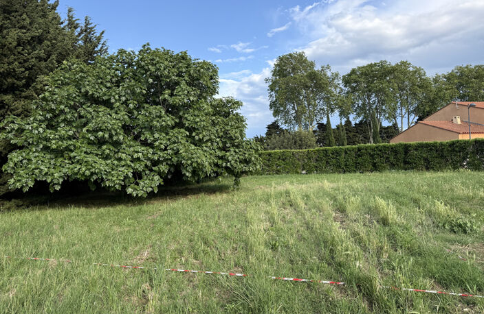 ELNE   TERRAIN À BÂTIR 560 M2   MAISON 4 FACES — photo 3