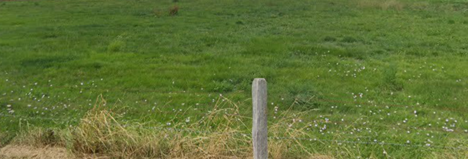 Terrain  951 m² à vendre à La Ferté-sous-Jouarre (77260)