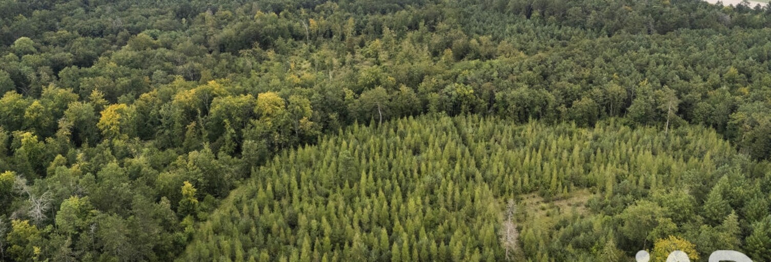 Terrain  9200 m² à vendre à Lugos (33830)