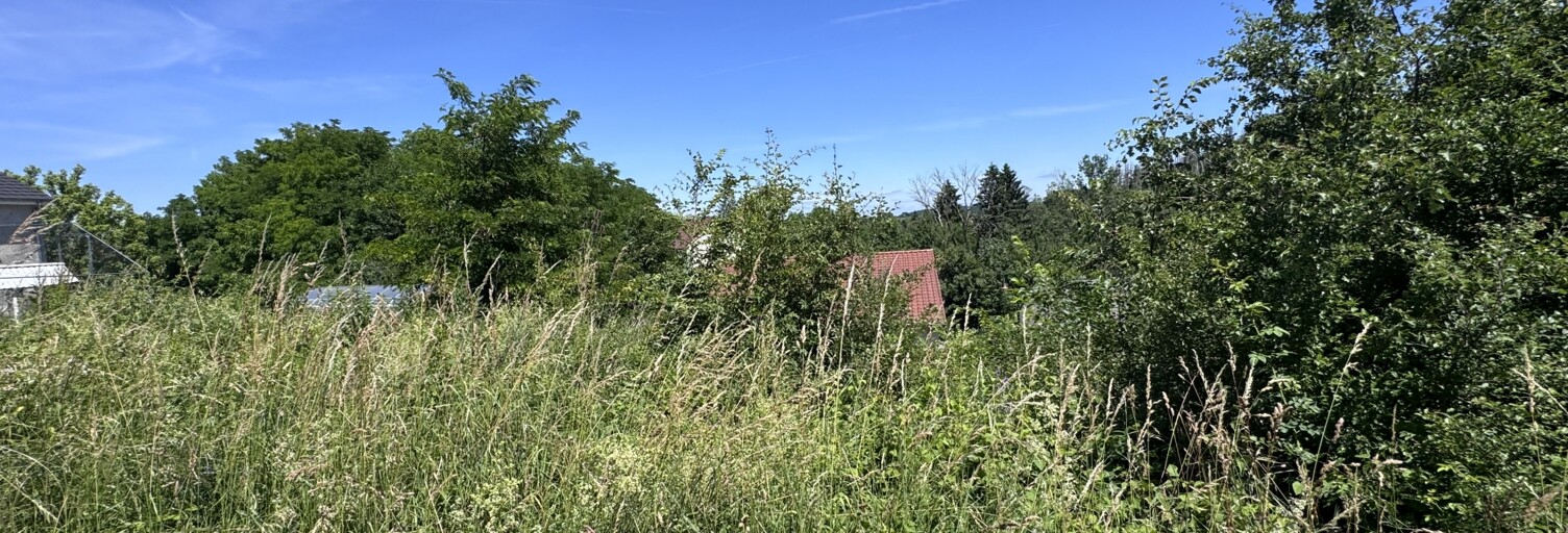 Terrain  847 m² à vendre à Bouzonville (57320)