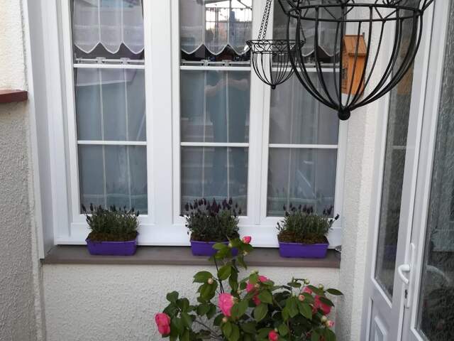 Vente Maison/villa 5 pièces — photo du bien