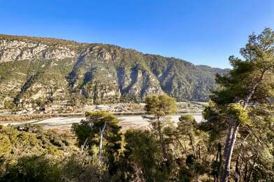 Terrain  75000 €