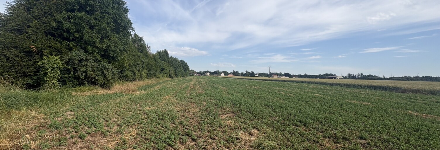 Terrain  2813 m² à vendre à Vouzy (51130)
