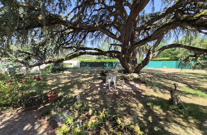 PIBRAC DOMAINE DU BERNET Grande Maison familiale sur 2250 m² de terrain — photo 5