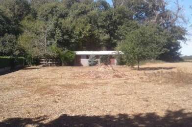 Terrain  12000 €