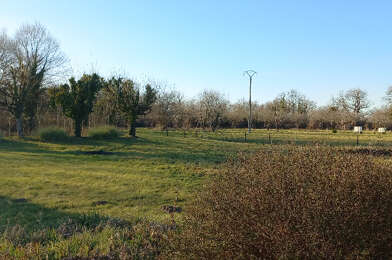 Terrain  20000 €