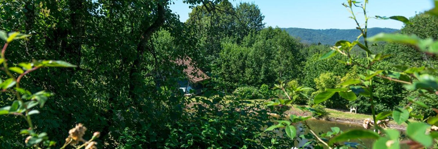 Maison 16 Pièces 333 m² à vendre à Fresse (70270)