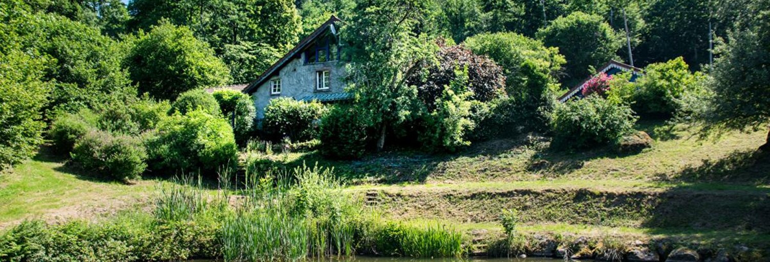 Maison 16 Pièces 333 m² à vendre à Fresse (70270)