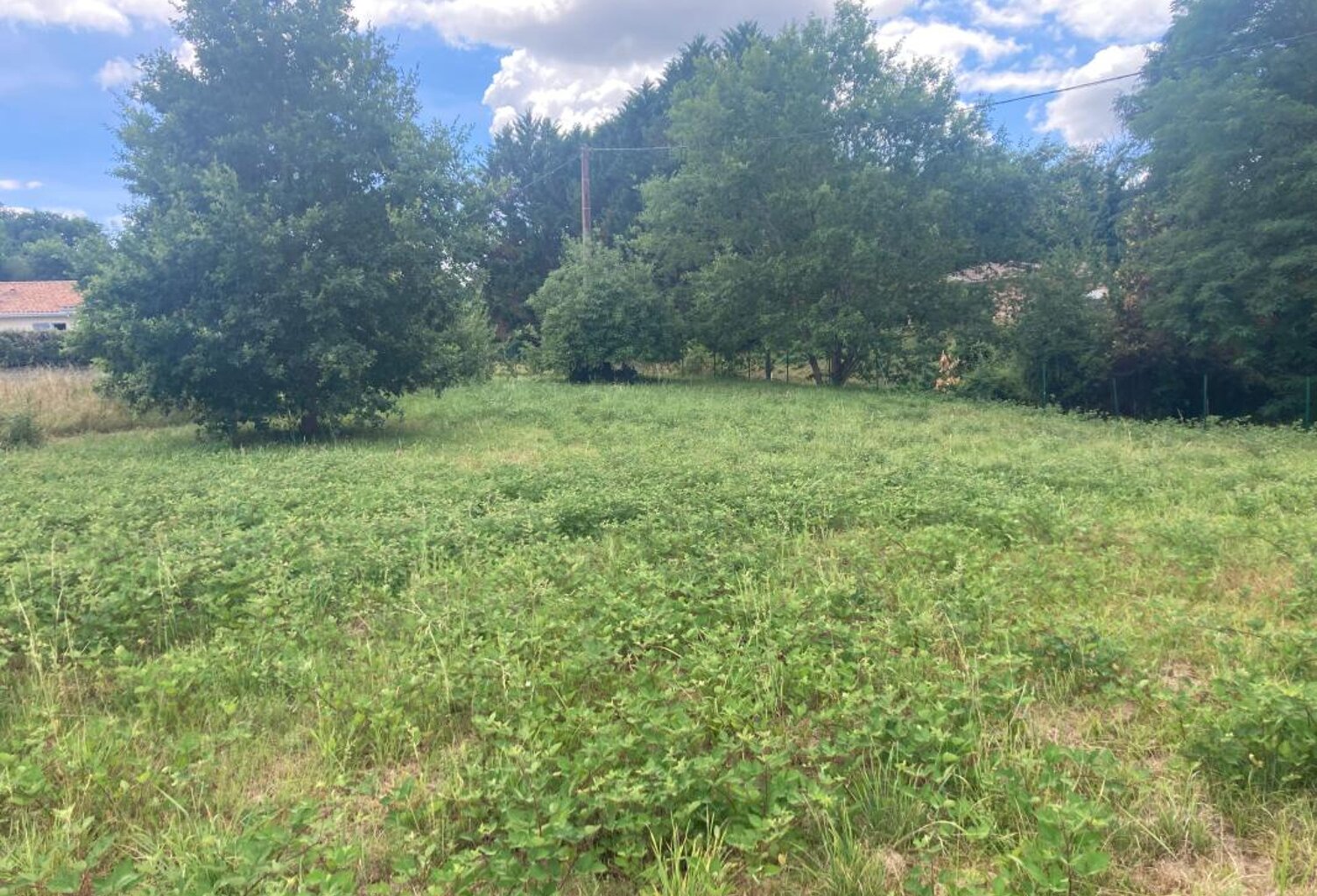 Terrain À Vendre — photo 1