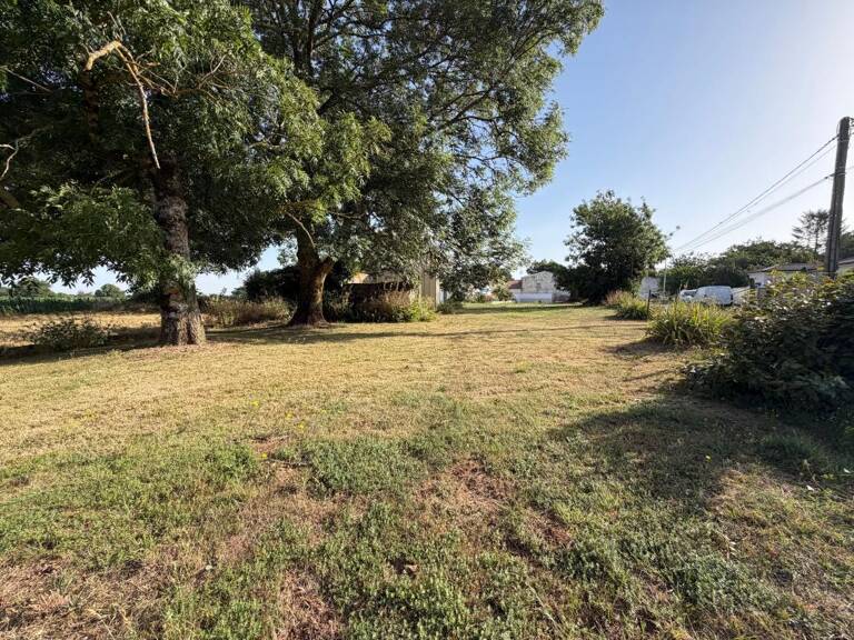 Terrain À Vendre — photo 1