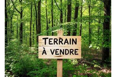 Terrain  16250 €