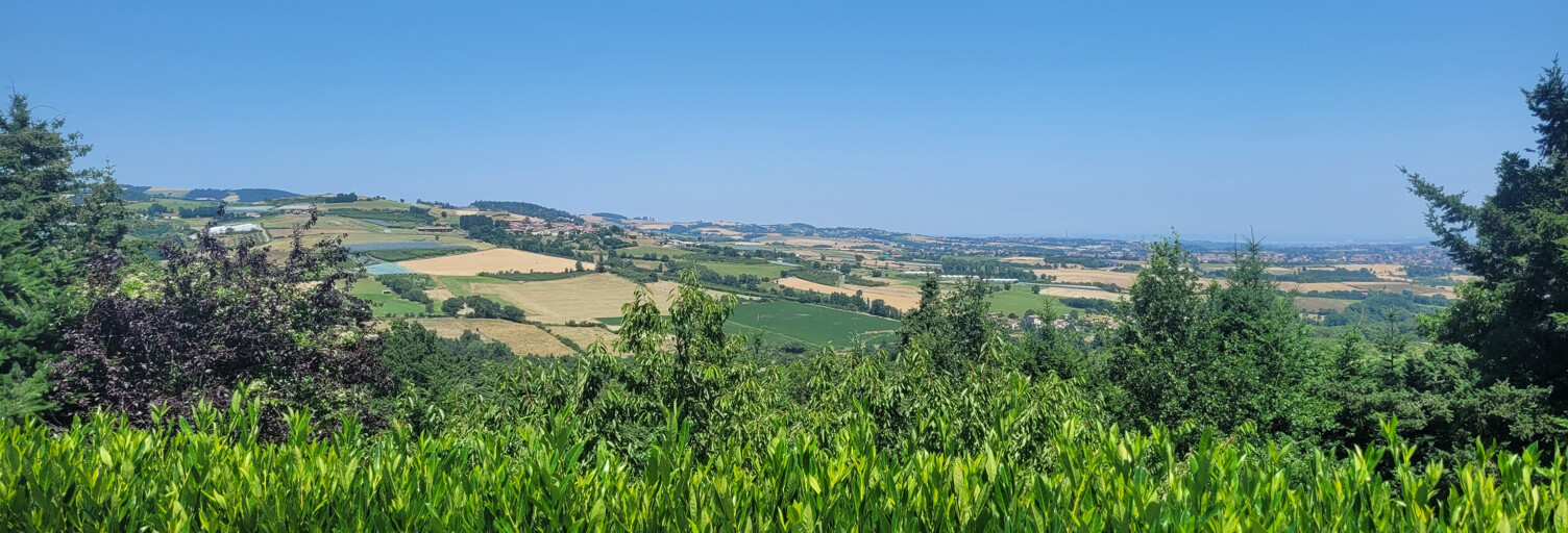 Photo N° 2