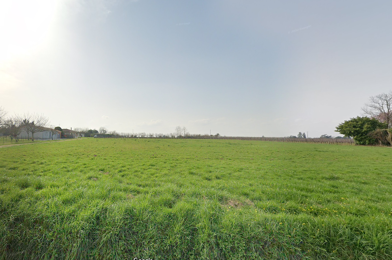 Terrain  132000 €