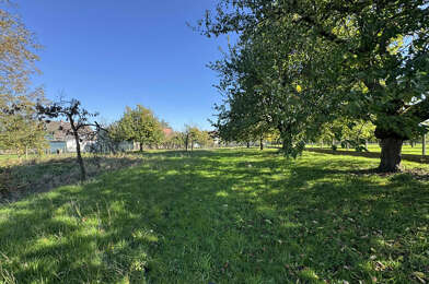 Terrain  168800 €