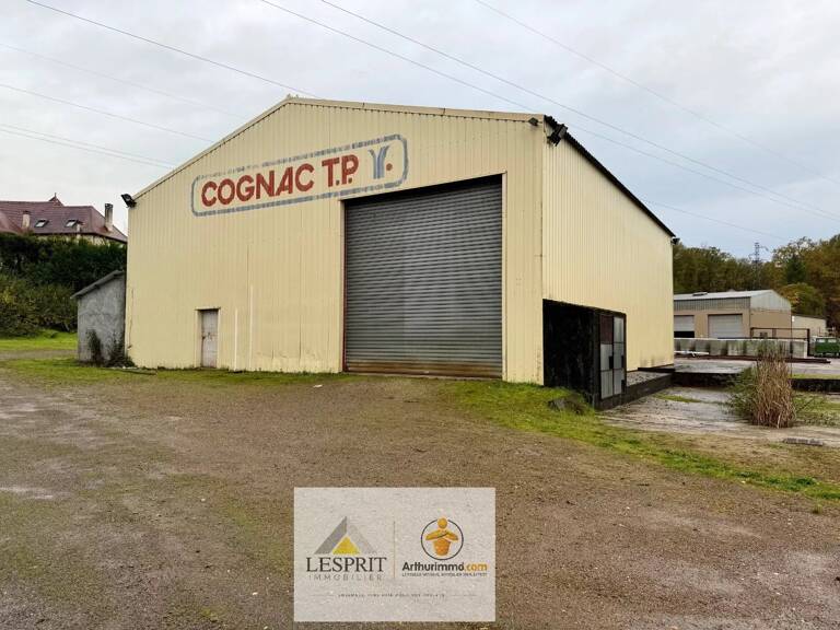 Hangar de 300 m² sur plus de 4000 m² de terrain – Malemort-sur-Corrèze — photo 1