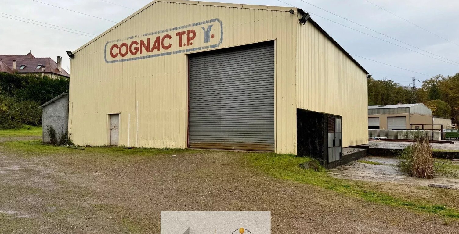Hangar de 300 m² sur plus de 4000 m² de terrain – Malemort-sur-Corrèze — photo 1