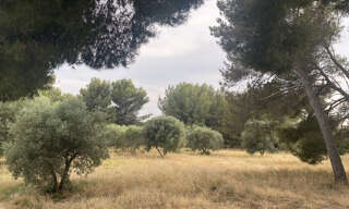 Terrain 519 m² à construire Saint-Chamas (13250)