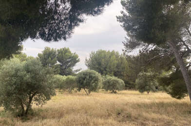 Terrain  225000 €