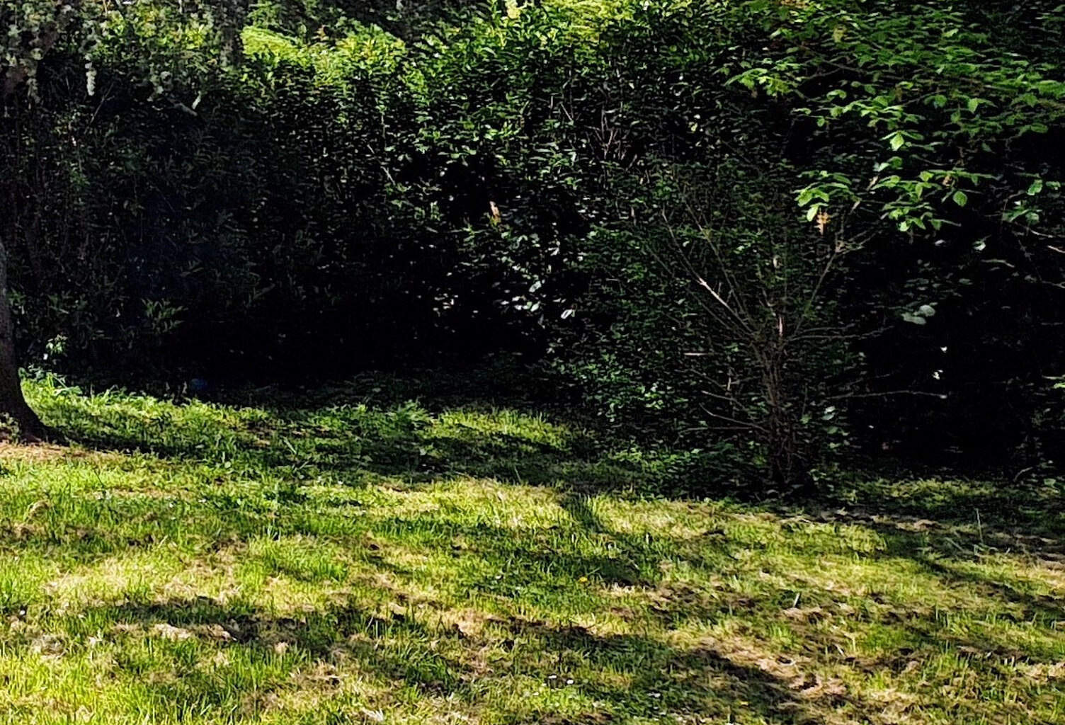 Terrain de 2 800 m² constructible viabilise avec un double garage à Saint Martin de Laye — photo 1