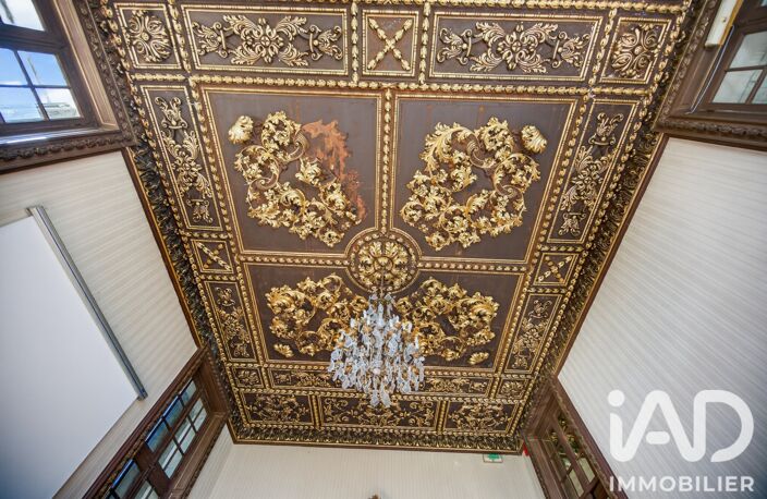 Vente Château 40 pièces — photo 3