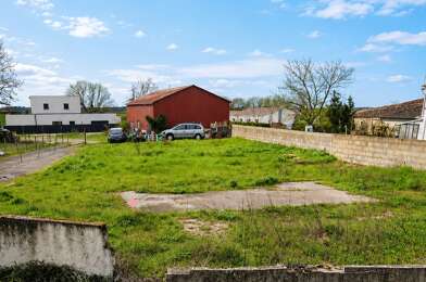 Terrain  49000 €