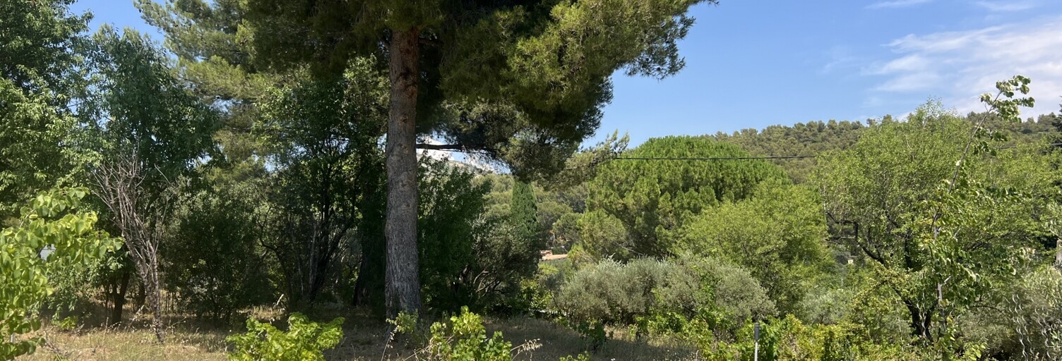 Terrain  800 m² à vendre à Allauch (13190)