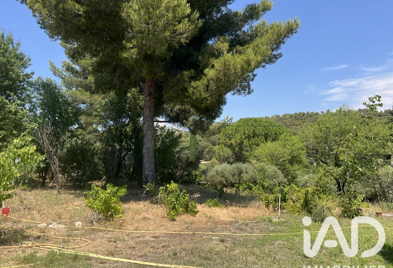 Vente Terrain 800 m&sup2; — photo 1